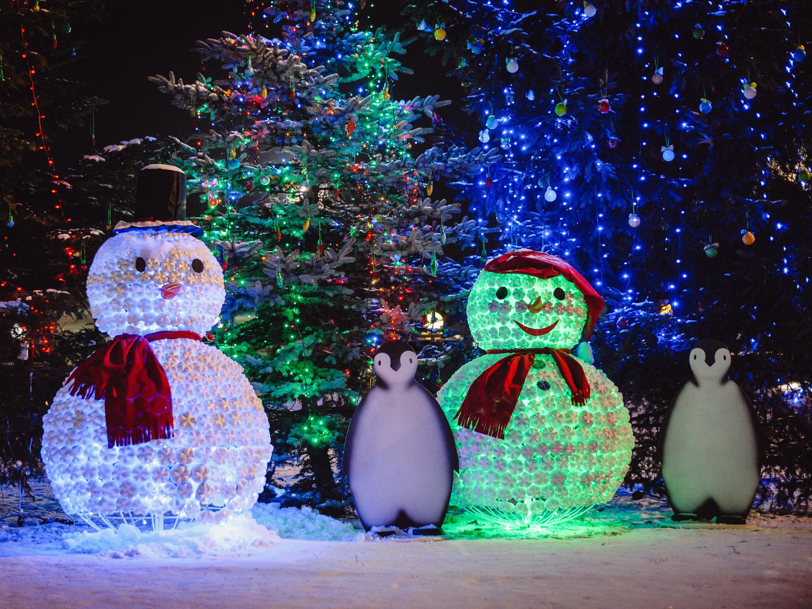 How to Protect Christmas Lights from Rain